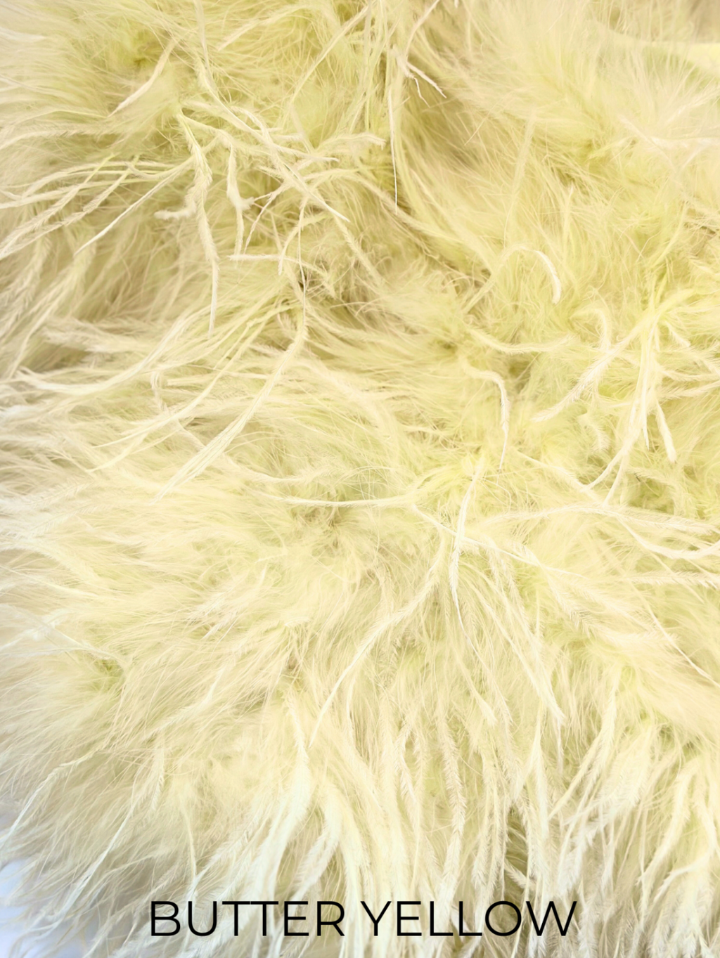 Linda Richards Genuine Feather Bolero Shoulder Shrug-Stole