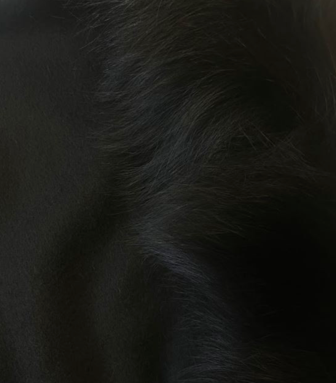 Linda Richards Fox Fur–Trimmed Cashmere Blend Shawl